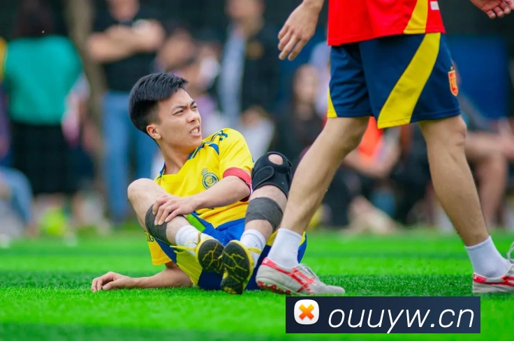 多媒体互动体验